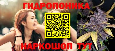 мдпв Канаш